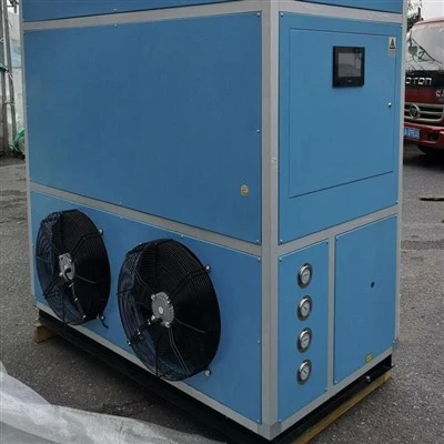 Muaj Pas Dej Dehumidifier