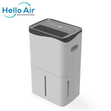 Tsev Hom Dehumidifier